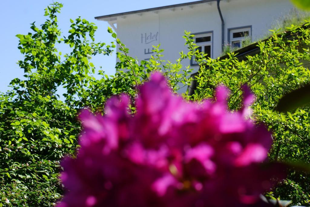 Hotel Waldperle グラール・ミューリッツ エクステリア 写真
