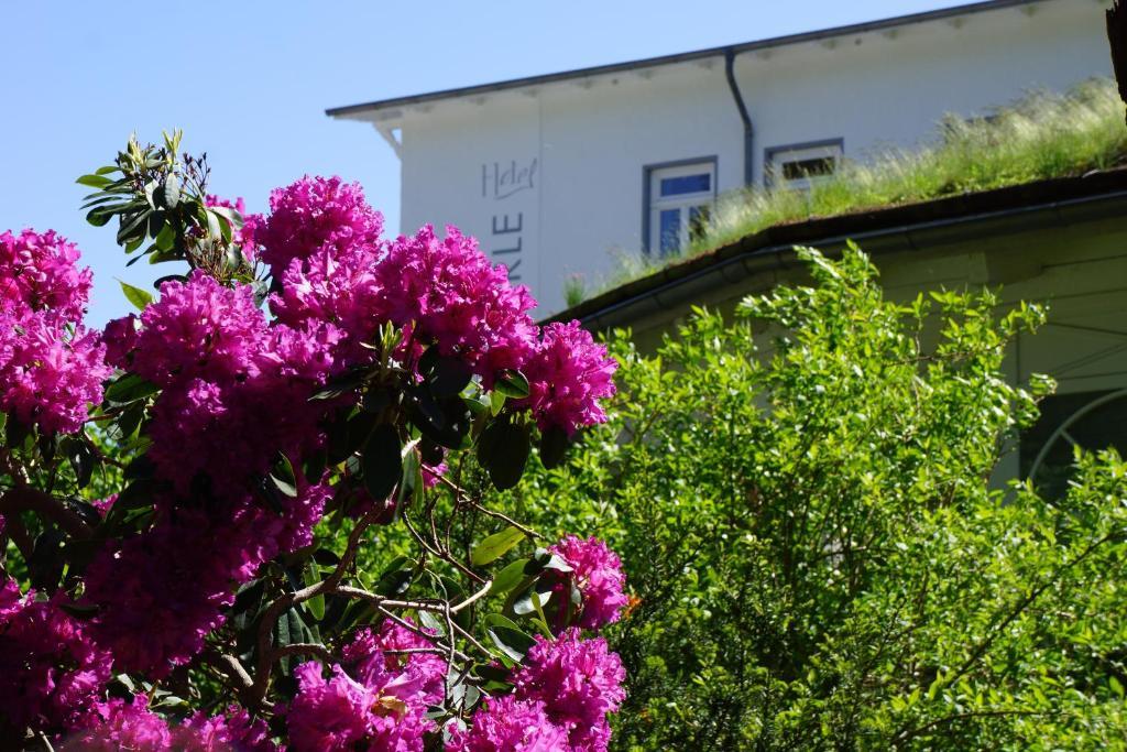 Hotel Waldperle グラール・ミューリッツ エクステリア 写真